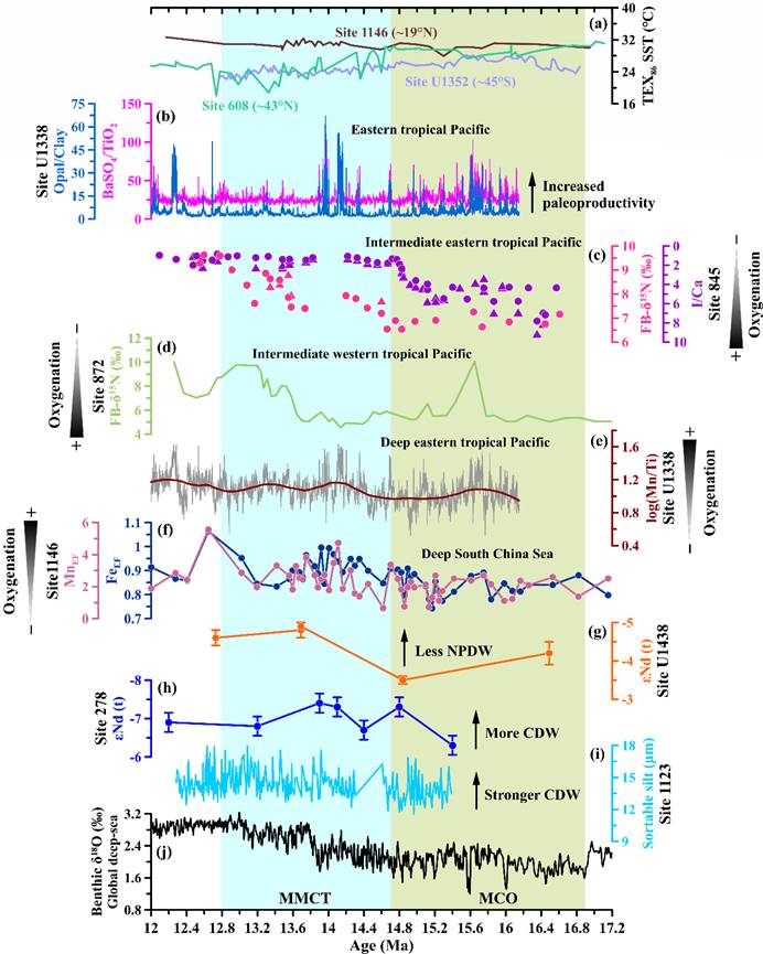 图片包含 图示 AI 生成的内容可能不正确。